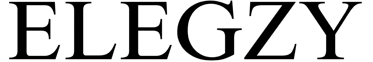 Elegant Trendy Stylish Designer handbags for Women buy Online india